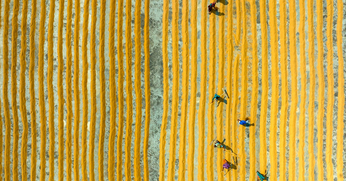 découvrez notre collection de vêtements colorés qui révèlent votre personnalité et ajoutent une touche vivante à votre garde-robe. idéaux pour toutes les occasions, nos vêtements allient style et confort avec des teintes vibrantes qui ne passent pas inaperçues.