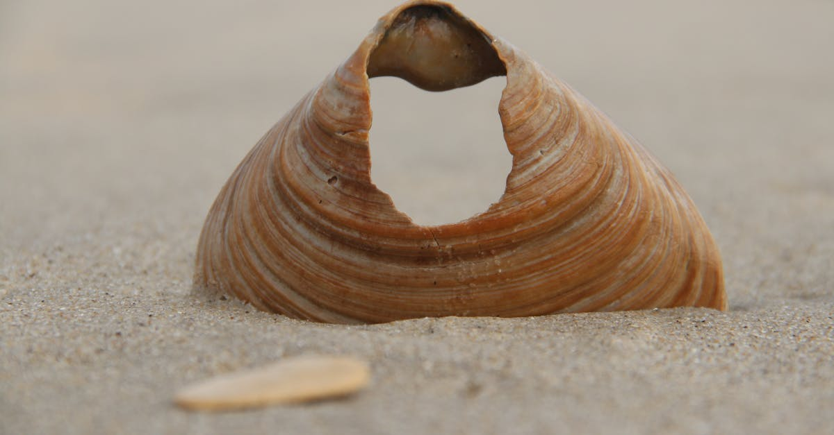 découvrez notre collection de décoration côtière, alliant sérénité et style marin. transformez votre intérieur en un refuge apaisant inspiré par les plages et l'océan. idéal pour apporter une touche d'évasion à votre maison.
