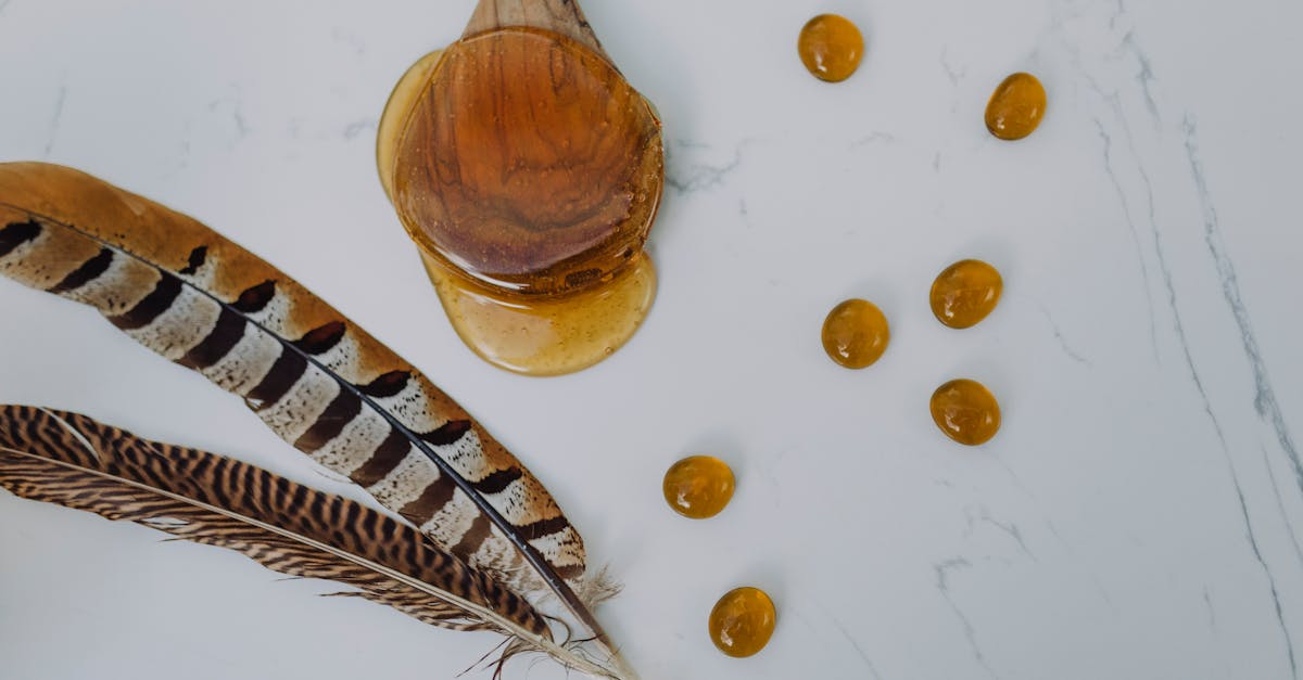 découvrez les bienfaits des masques au miel pour une peau éclatante et hydratée. apprenez à préparer des recettes simples et naturelles qui revitaliseront votre teint tout en apportant douceur et éclat.