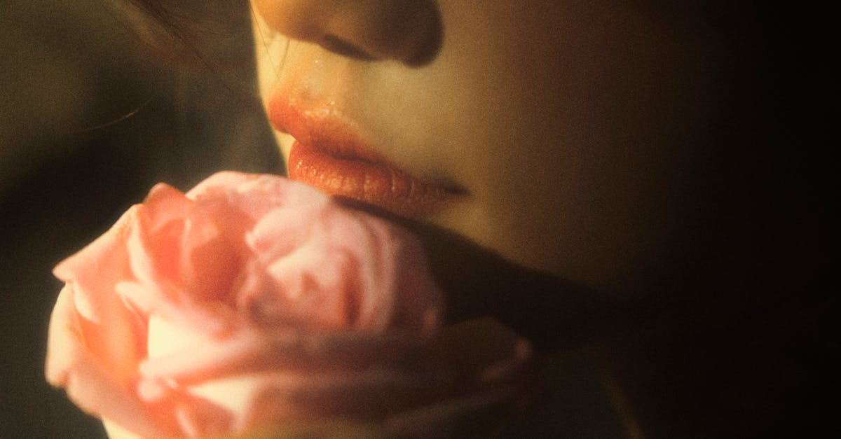 découvrez l'élégance sous toutes ses formes : des conseils de mode, des astuces de style, et des inspirations pour sublimer votre allure au quotidien. plongez dans un univers raffiné où chaque détail compte.