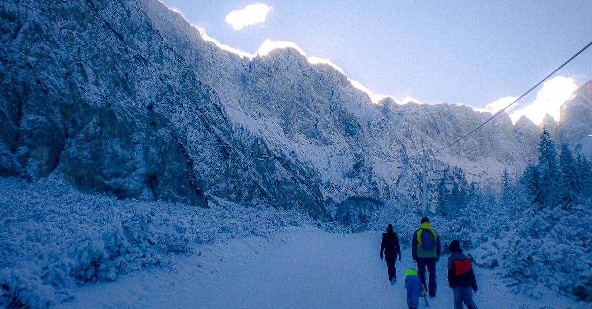 découvrez notre sélection de sandales d'hiver alliant confort et style. parfaites pour des journées froides, elles offrent une chaleur agréable tout en restant tendance. idéales pour allier praticité et élégance pendant la saison hivernale.